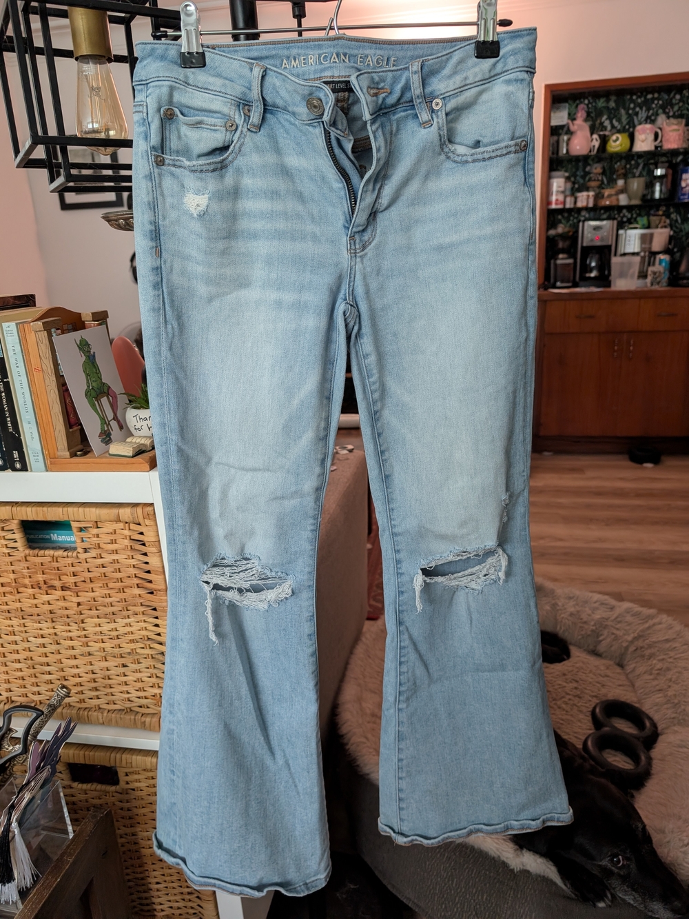 American Eagle Outfitters Light Wash Distressed Low-rise Bootcut Jeans